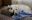 fullsizeoutput_6aa1.jpeg