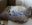 fullsizeoutput_6aa2.jpeg