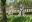 fullsizeoutput_7b1a.jpeg