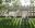 fullsizeoutput_7b21.jpeg