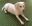 fullsizeoutput_8875.jpeg