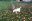 fullsizeoutput_889b.jpeg