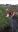 IMG-20180417-WA0002.jpg