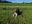 IMG-20190601-WA0003.jpg