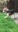 Screenshot_20170701-175020.png