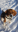 Screenshot_20180217-134251.png