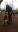 Screenshot_20180316-132444.png
