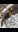 Screenshot_20180320-082726.png