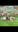 Screenshot_20180427-181038.png