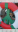 Screenshot_20180516-170929.png