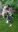 Screenshot_20180516-171202.png