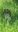 Screenshot_20180614-200129_Gallery.jpg