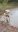 Screenshot_20181013-170421_Gallery.jpg