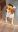 Screenshot_20181118-063331_Gallery.jpg