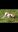 Screenshot_20190106-172844_Gallery.jpg
