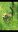 Screenshot_20190106-173159_Gallery.jpg