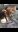 Screenshot_20190106-173338_Gallery.jpg
