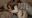 Screenshot_20190106-173516_Gallery.jpg
