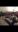 Screenshot_20190127-154729_Gallery.jpg