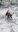 Screenshot_20190329-181320_Gallery.jpg