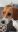 Screenshot_20190403-201047_Gallery.jpg