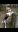 Screenshot_20190518-110213_Gallery.jpg