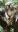 Screenshot_20190724-164719_Gallery.jpg