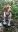 Screenshot_20190724-164738_Gallery.jpg