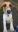 Screenshot_20190904-182428_Gallery.jpg
