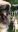 Screenshot_20190918-162742_Gallery.jpg