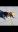 Screenshot_20191001-184116_Gallery.jpg