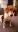 Screenshot_20191118-200239_Gallery.jpg