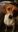 Screenshot_20191118-200301_Gallery.jpg