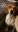 Screenshot_20191118-200323_Gallery_2019-11-18.jpg