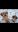 Screenshot_20191217-202740_Gallery.jpg