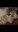 Screenshot_20200106-145236_Gallery.jpg
