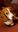 Screenshot_20200402-154510_Gallery.jpg