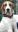 Screenshot_20200804-190241_Gallery.jpg