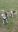 Screenshot_20200804-190328_Gallery.jpg