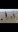 Screenshot_20200804-190435_Gallery.jpg