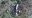 20180203_085654.jpg