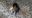 20180519_144918.jpg