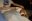 20190118_174405.jpg