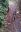 20190528_083349.jpg