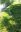 20190603_083225.jpg