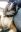 20190704_165630_edited.jpg