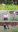 20221204_131038-COLLAGE.jpg