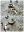 20221211_113947-COLLAGE.jpg