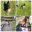 20230325_130048-COLLAGE.jpg