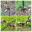 20230402_121159-COLLAGE.jpg